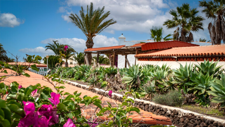 Casa Mané - La Oliva, Fuerteventura