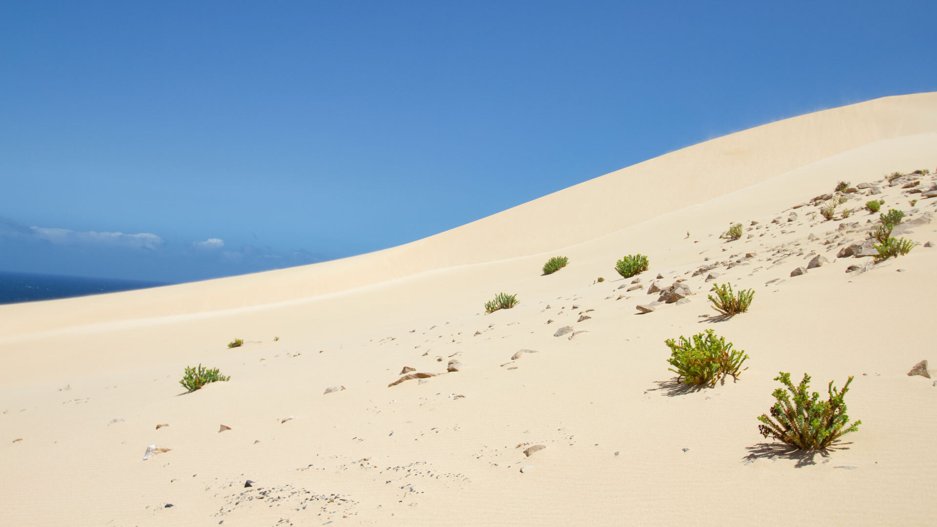 Dünen im Naturpark Jandía