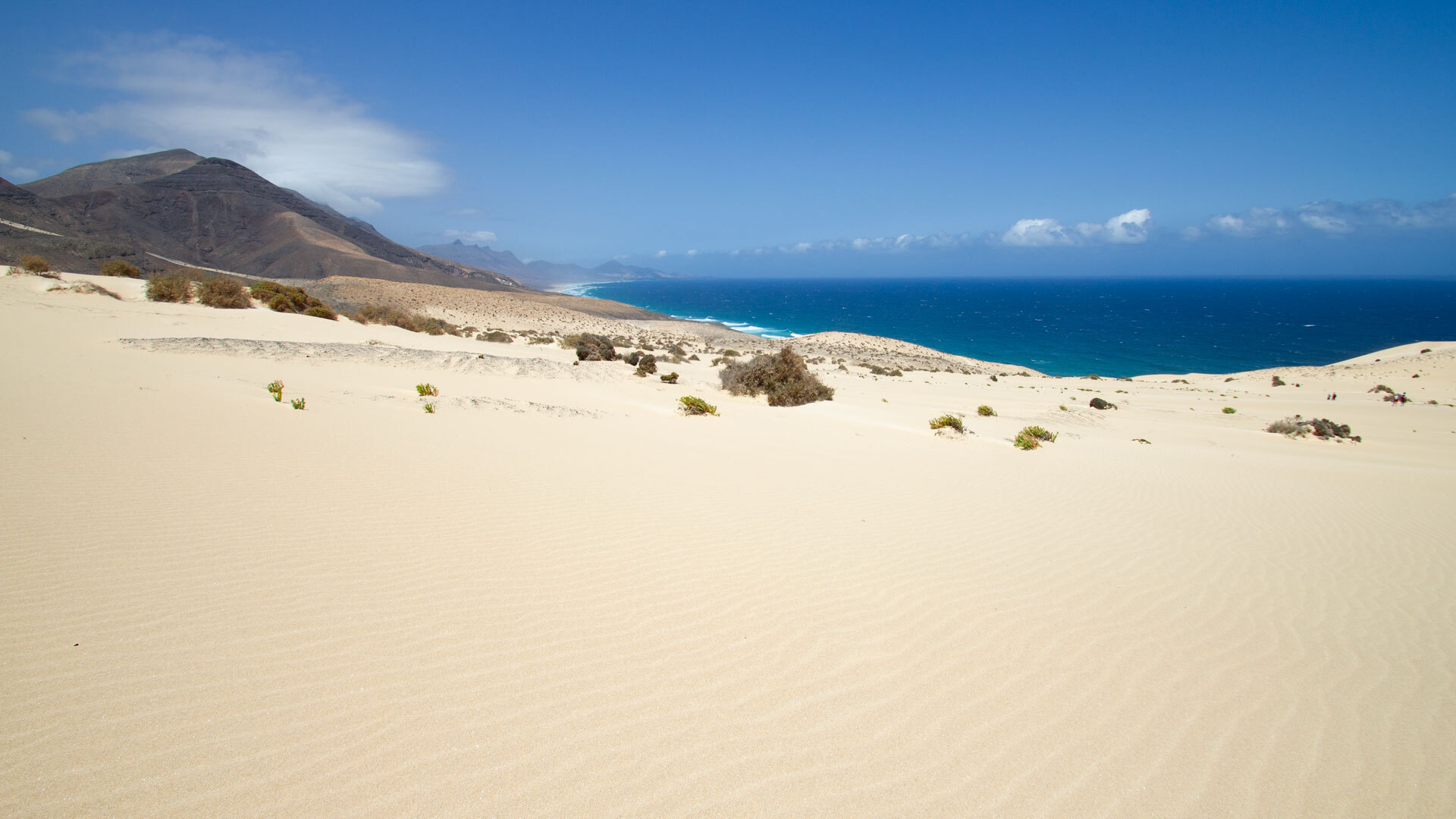 Wüstenlandschaft am Istmo del Pared