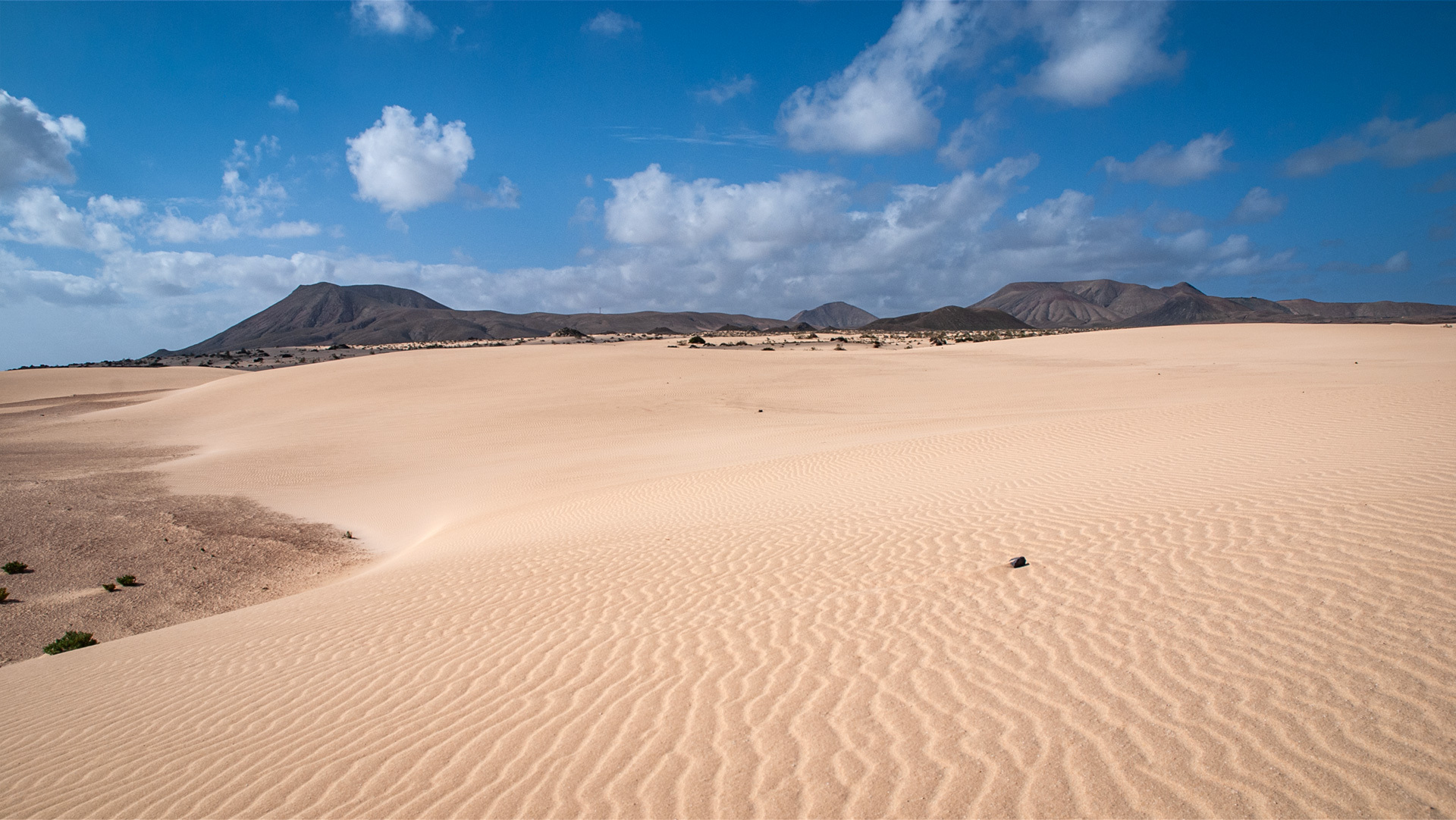 Sanddünen El Jable im Naturpark Corralejo