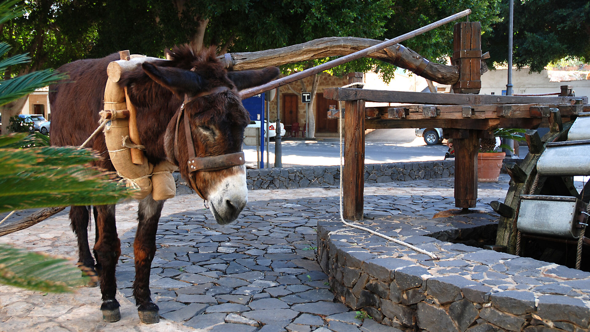 Wasserschöpfrad Noria