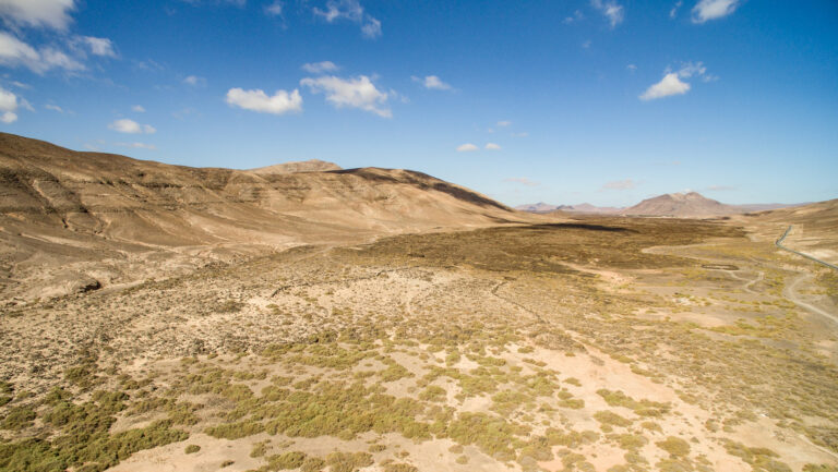 die ungeschliffene Schönheit der kargen Landschaft Fuerteventuras, Aelteste Kanarische
