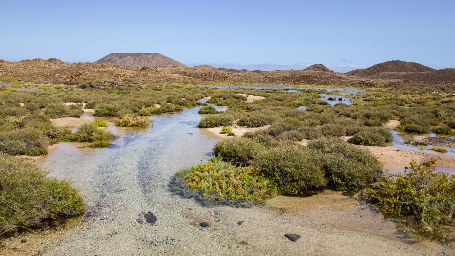 die Salzwiesen Las Lagunas im Parque Natural Islote de Lobos