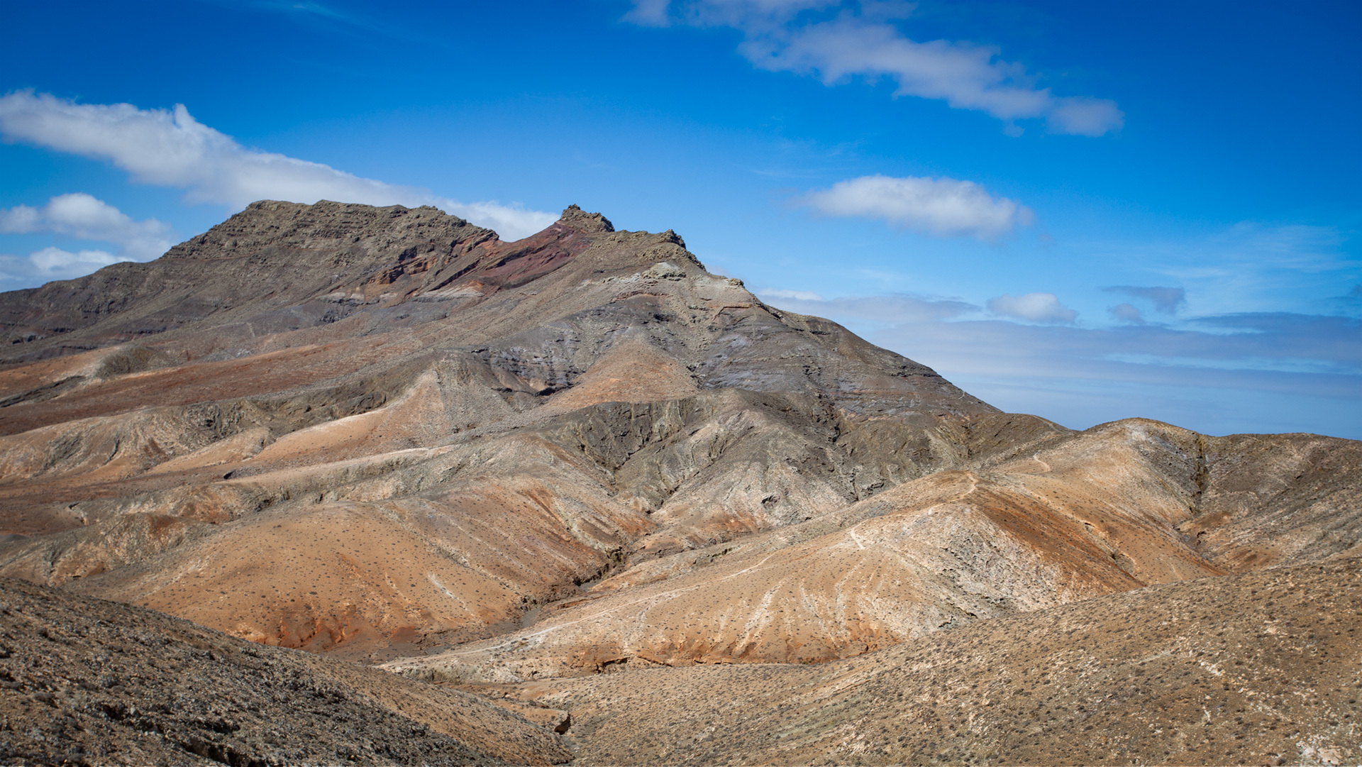 Am Wanderweg - Monumento Natural de Montaña Cardón
