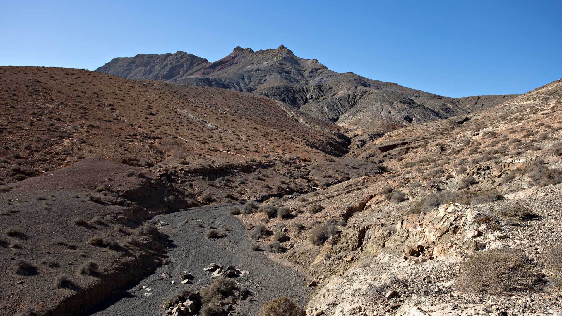 der heilige Berg Montaña de Cardón