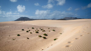 das Dünengebiet El Jable im Parque Natural de Corralejo, Fuerteventura