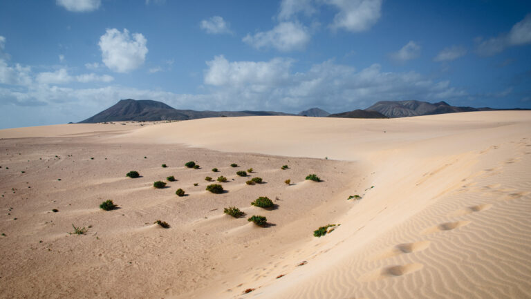 das Dünengebiet El Jable im Parque Natural de Corralejo, Fuerteventura