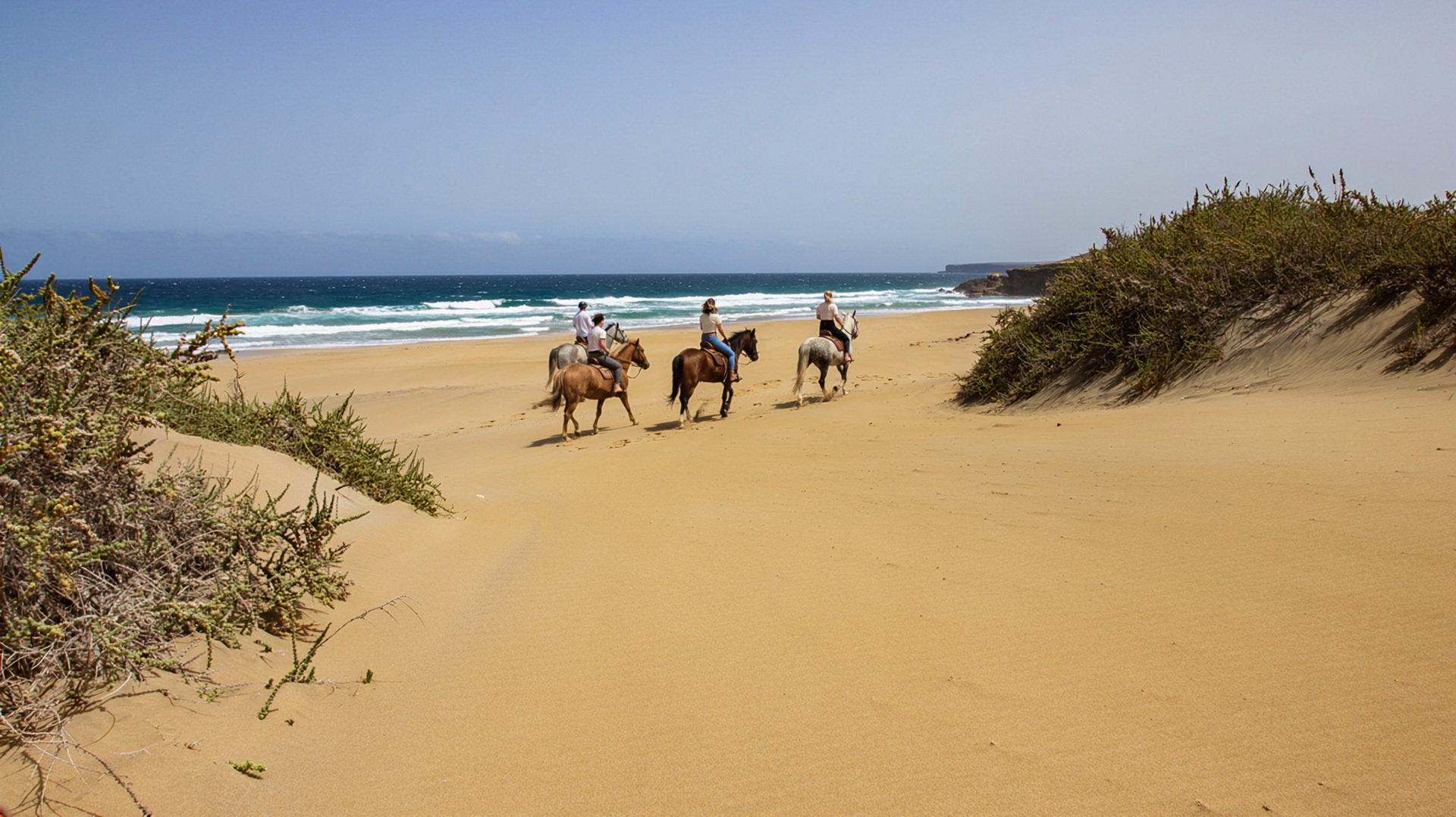 Reiten auf Fuerteventura