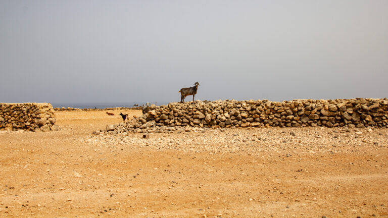 bei Calima zeigt sich der Himmel über Fuerteventura in silbrigem Licht, Sahara