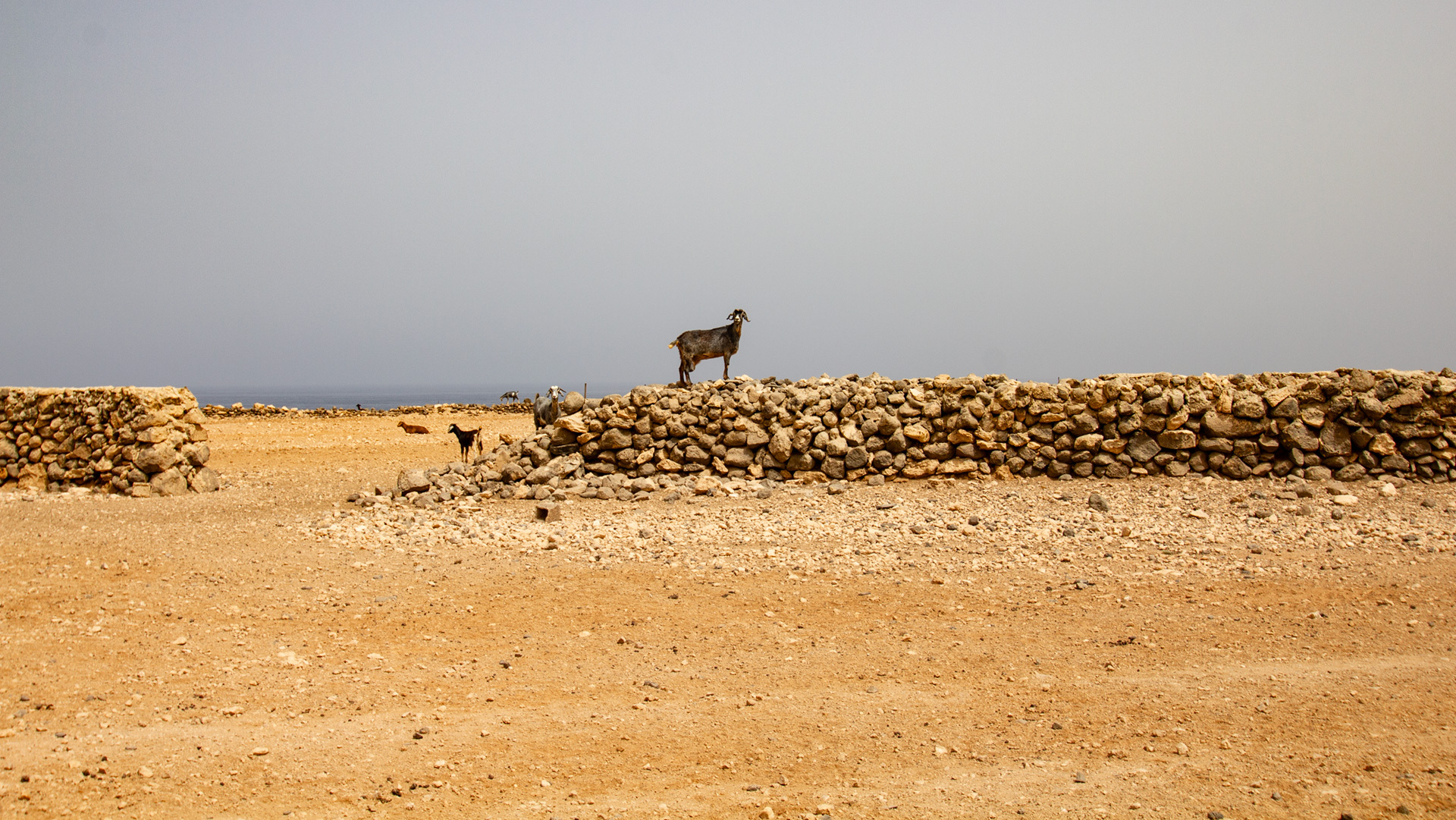 bei Calima zeigt sich der Himmel über Fuerteventura in silbrigem Licht