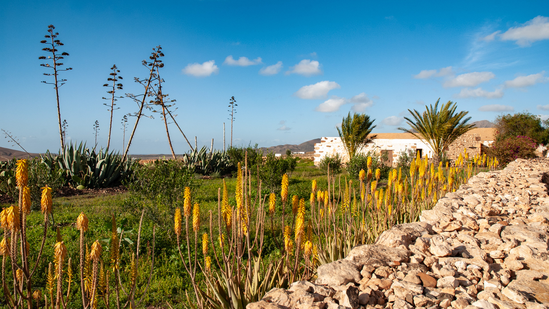 Freilichtmuseum bei Tefia