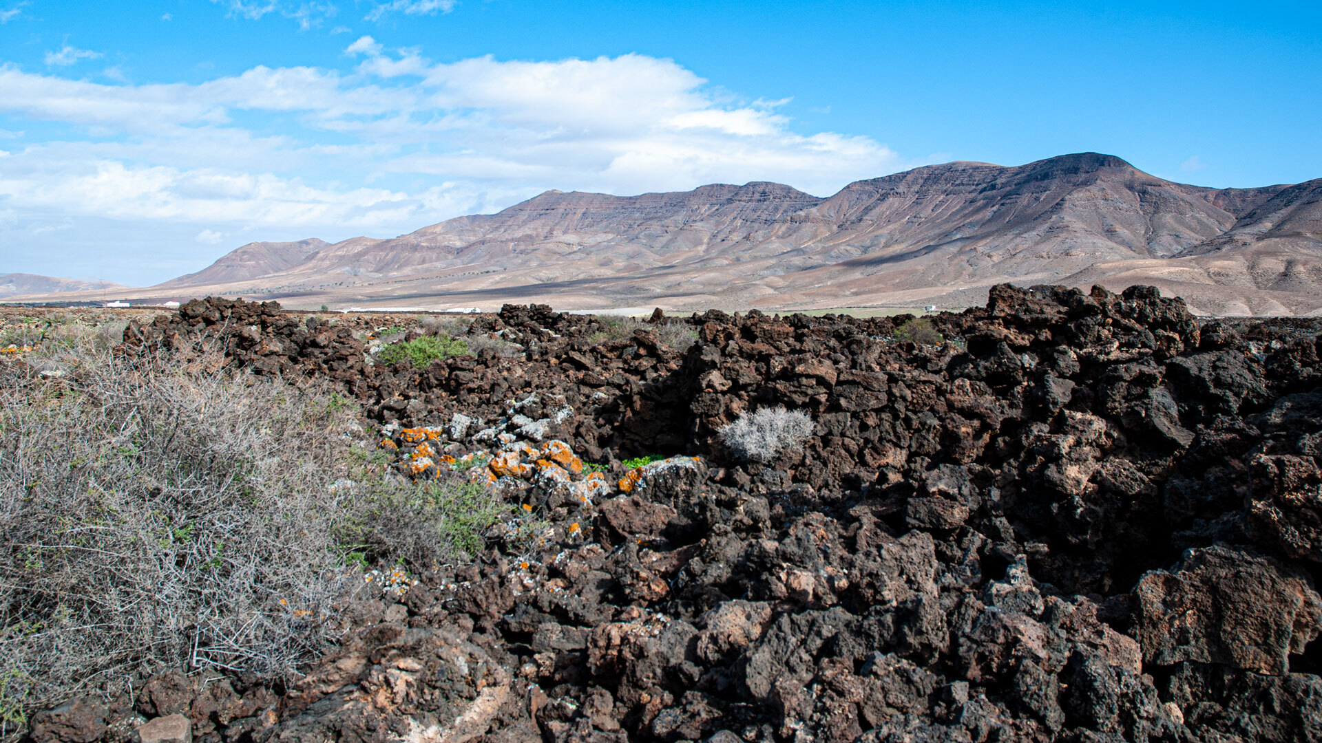 Playa Pozo Negro - Lavafelder mit Ausblick