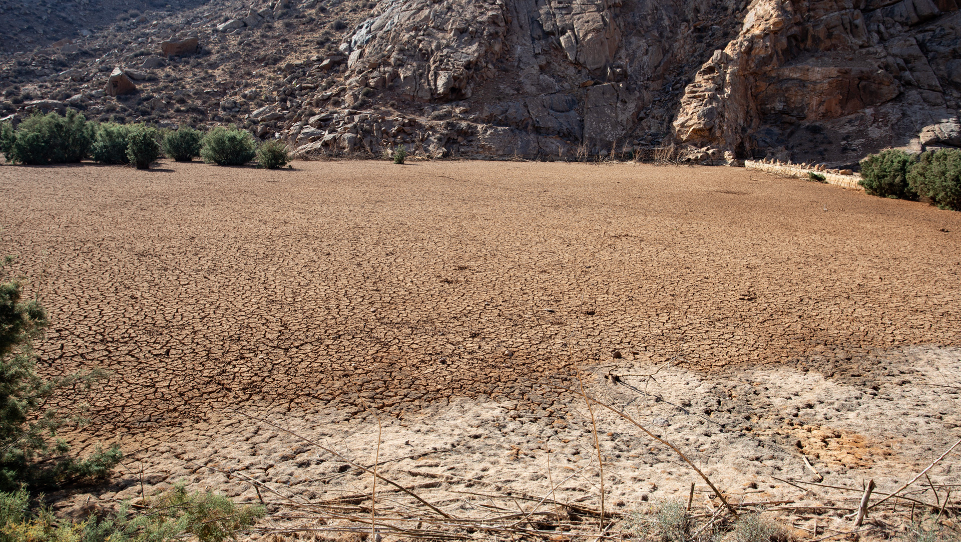 verlandeter Stausee Presa de las Peñitas