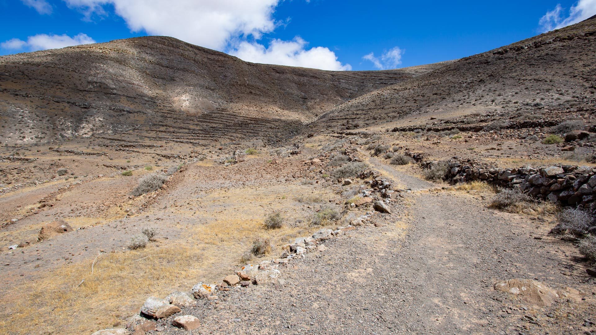 Quellentour am Montaña de la Muda, Wueste, Fuerteventura