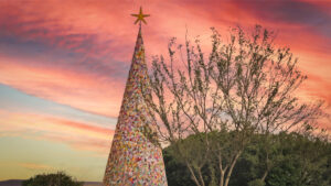 Weihnachtsbaum in Pajara, Feste Feiern, Fuerteventura