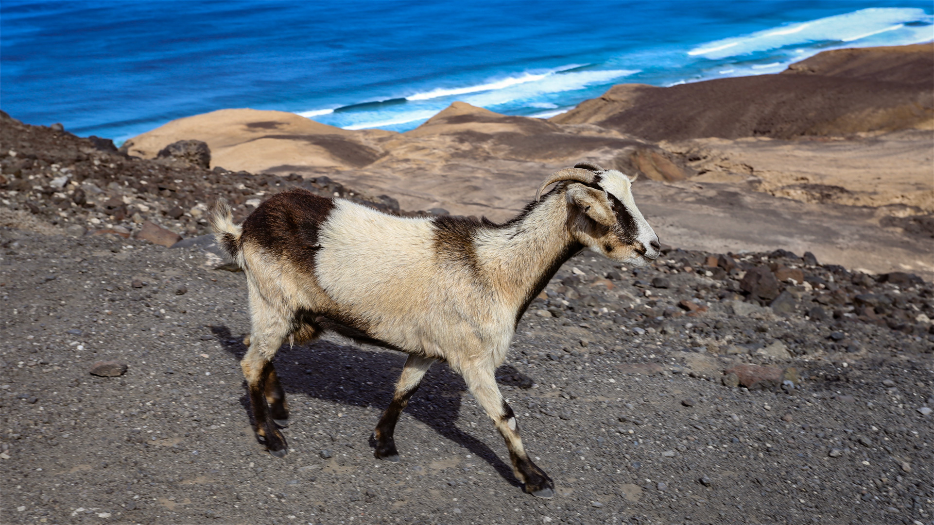 Jandía und der leise Wunsch nach einem Geländewagen