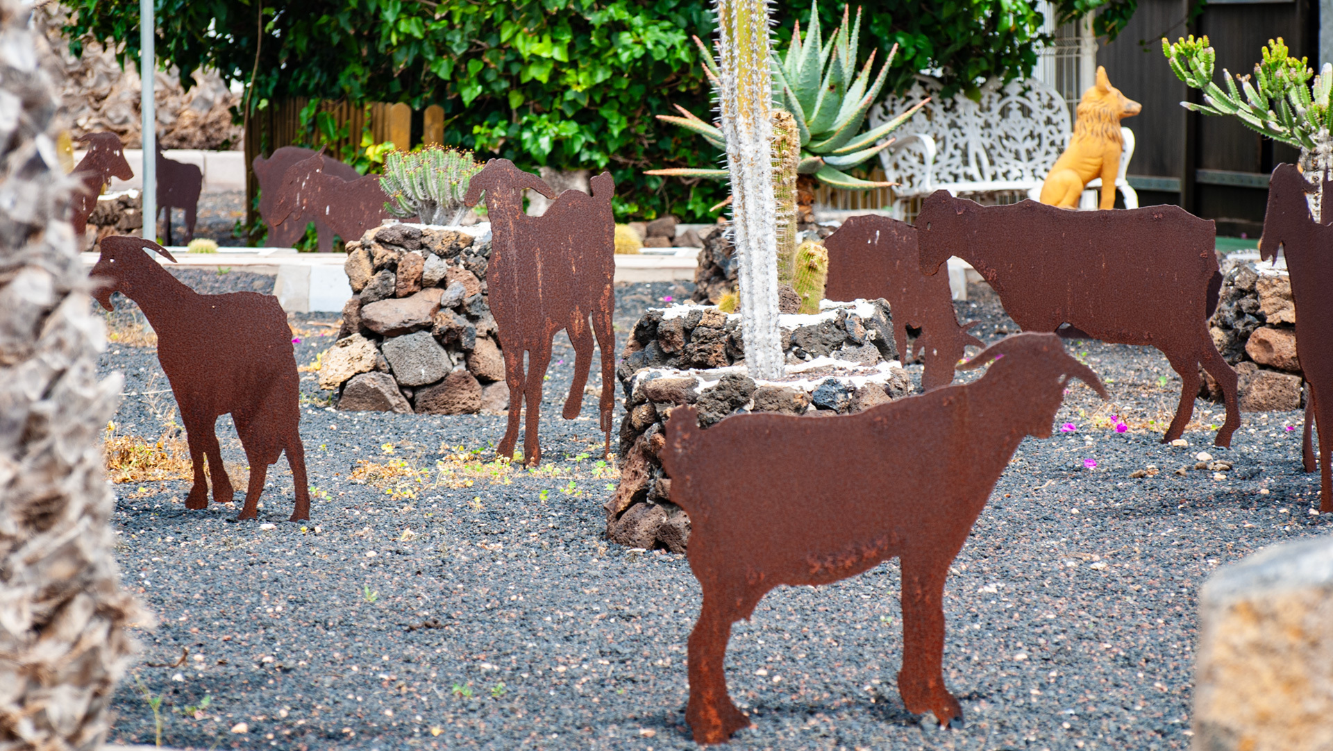 Casa Mané - ein wenig surreal